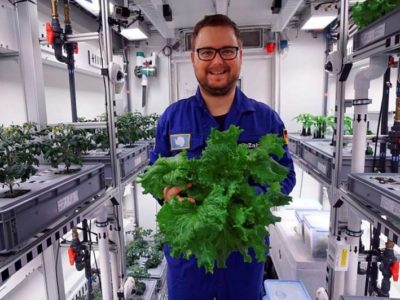 Han lograron cultivar verduras en la Antártida sin tierra, luz solar ni pesticidas