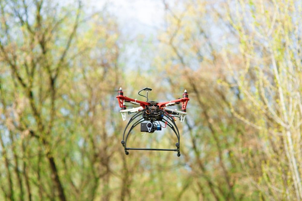 reforestación por drones
